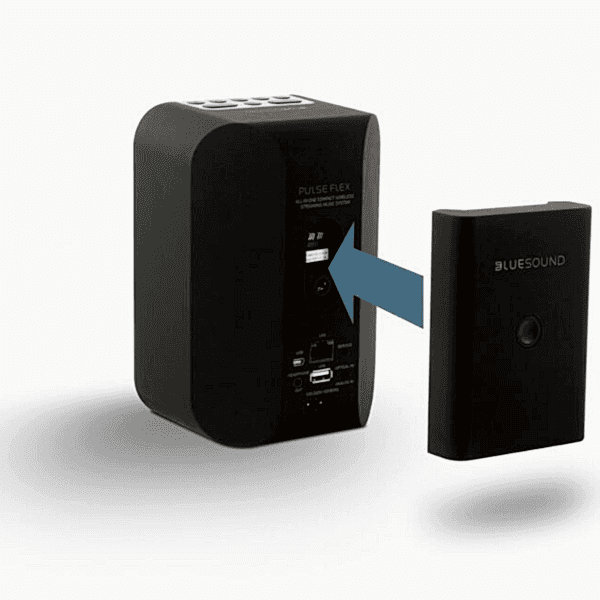 BLUESOUND BP100 - Imagen 6
