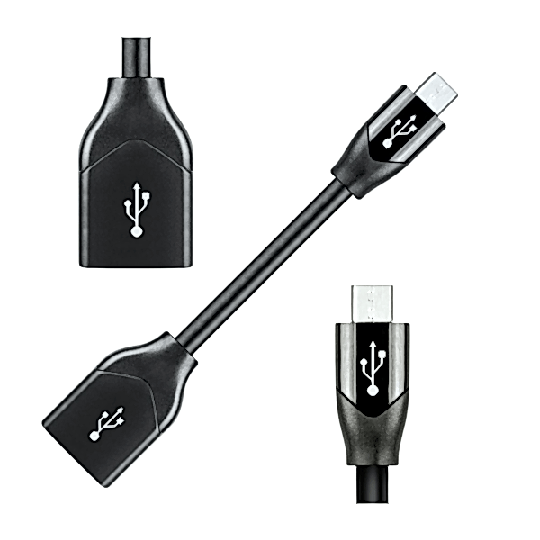 AUDIOQUEST DRAGONTAIL MICRO