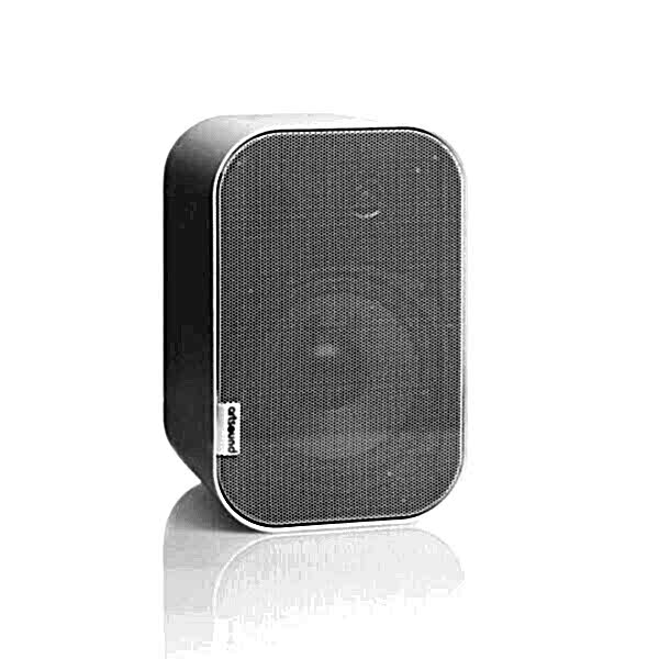 ARTSOUND UNI40T (100V)